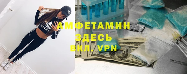 крисы Медногорск
