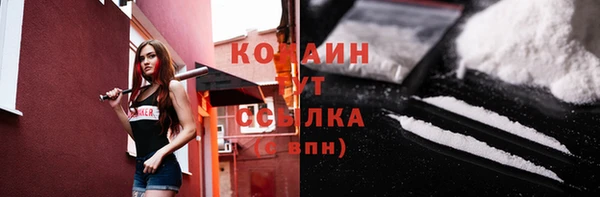 бошки Мегион