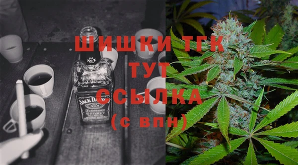 крисы Медногорск